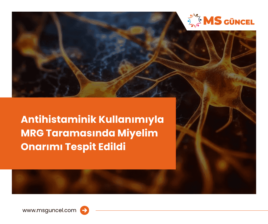 Antihistaminik Kullanımıyla MRG Taramasında Miyelin Onarımı Tespit Edildi