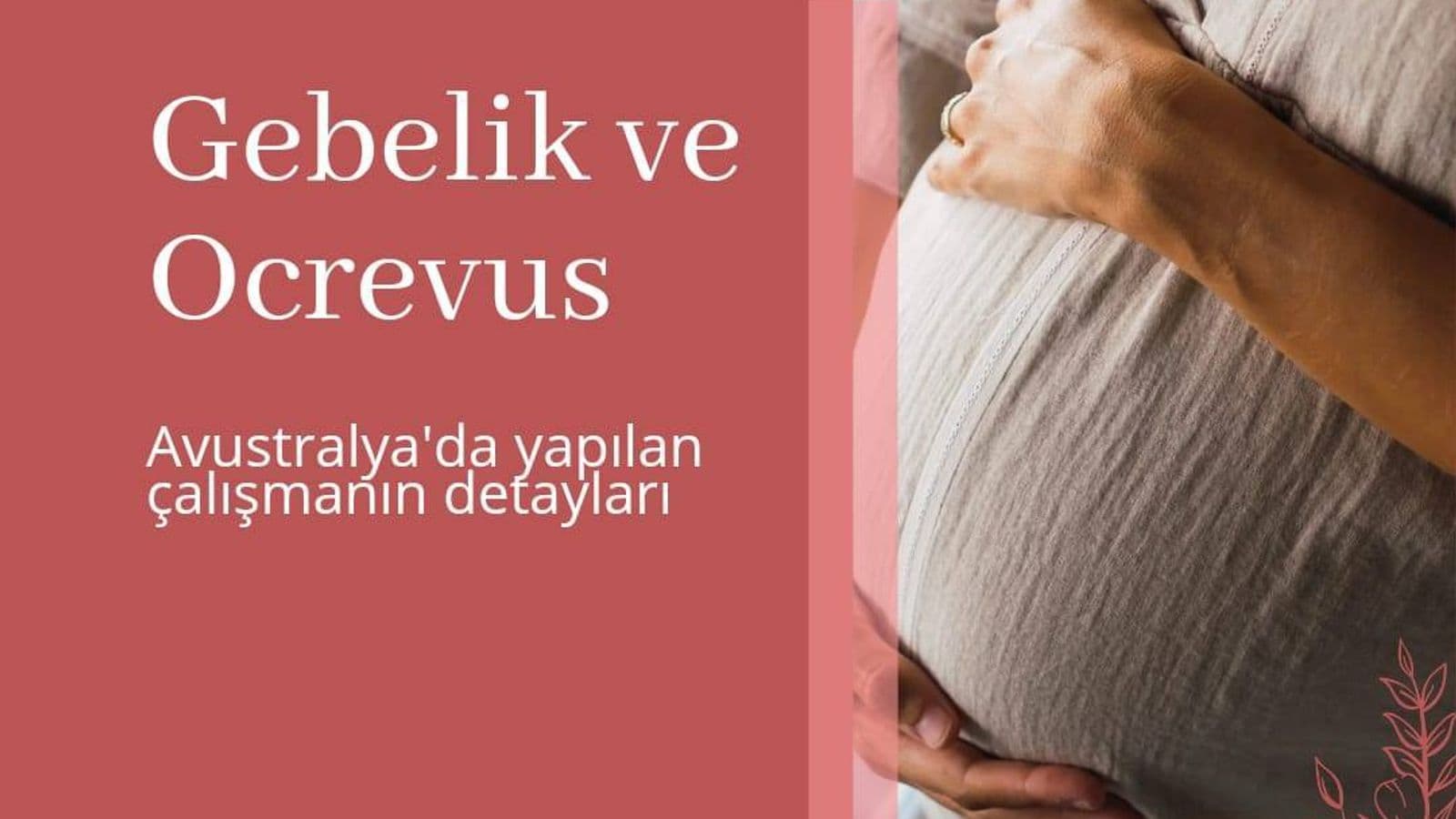 Gebelikte Ocrevus'a Maruz Kalmada Risk Artışı Bulunmadı